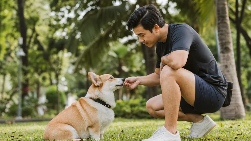 Trainer using rewards-based positive reinforcement with a dog during an outdoor training session