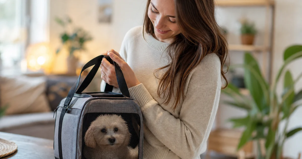 Traveller with a pet carrier and documents at a Canadian border inspection point